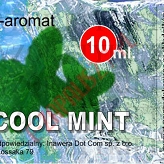 Cool Mint E-Aromat 10ml - mięta (KONCENTRAT)