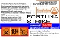 FORTUNA STRIKE 24mg/ml poj. 100ml LIQUID INAWERA